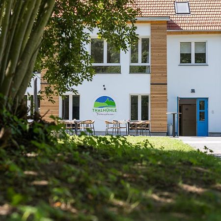 Aparthotel Thalmuehle à Meisdorf Extérieur photo