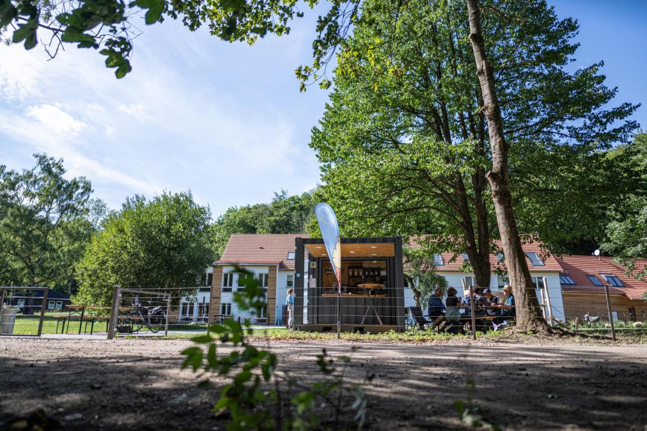 Aparthotel Thalmuehle à Meisdorf Extérieur photo